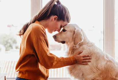 Article about pet insurance added May 2024 