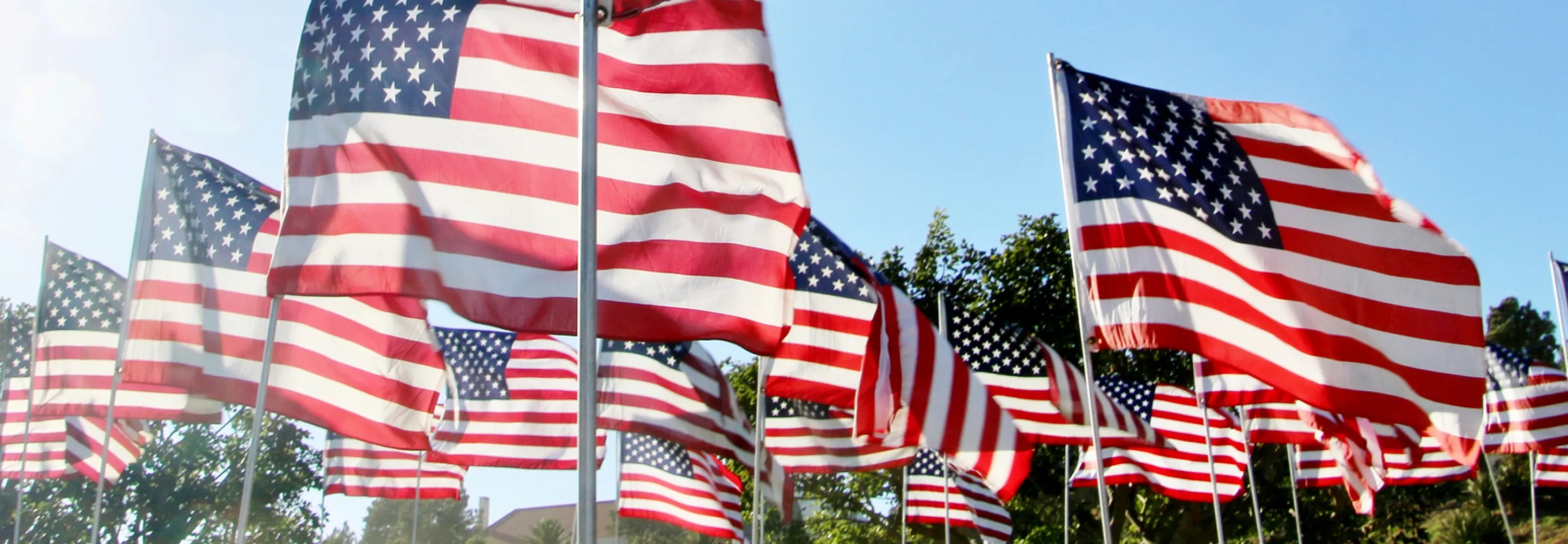 American flags blowing in the wind