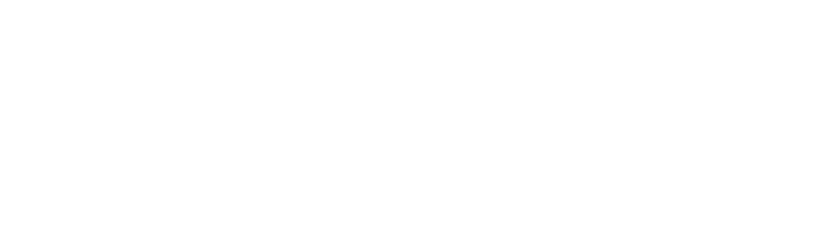 Hall Financial Logo