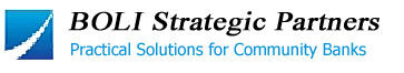 BOLI STRATEGIC PARTNERS Logo