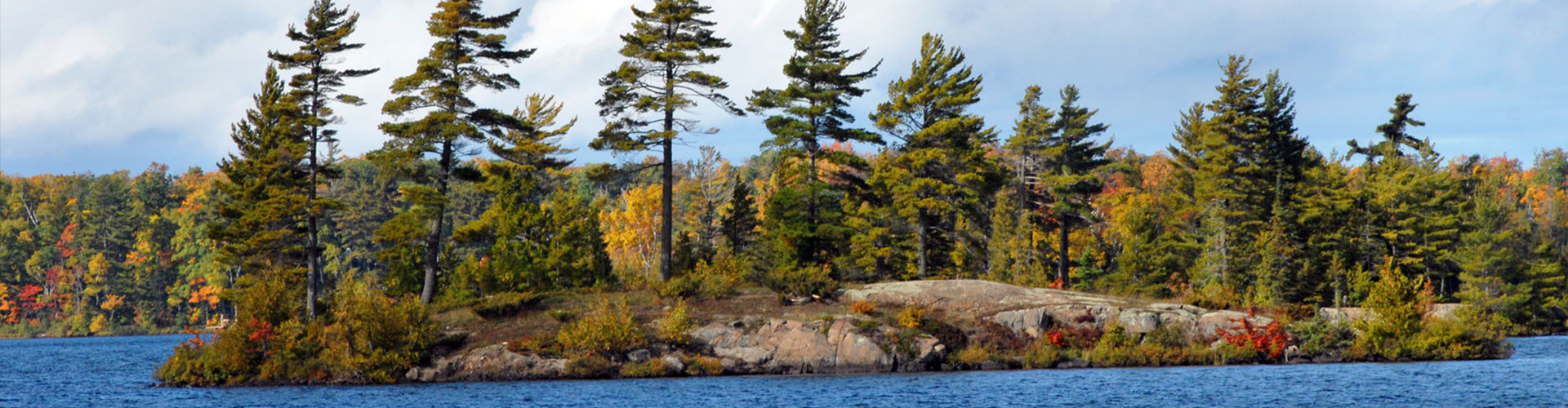 scrawny trees on a rocky island on blue waters