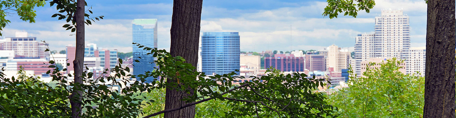 city skyline viewed from between trees and foliage