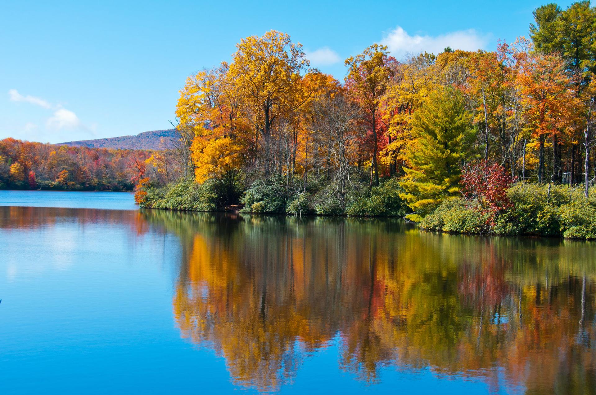 Fall trees reflecting off lake