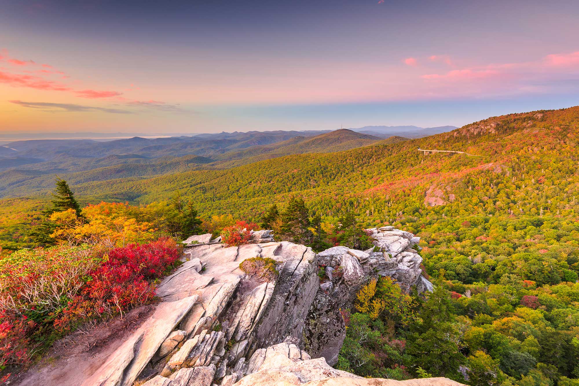 Mountain tree-scapes 