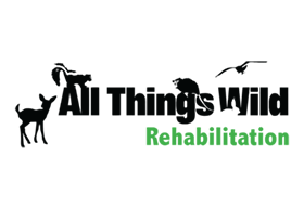 All Things Wild Rehabilitation logo 