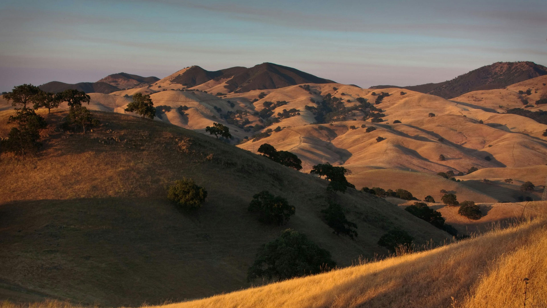 Rolling golden-grass hills dotted with scattered oak trees stretch toward distant peaks under a soft, pale sky at sunset.