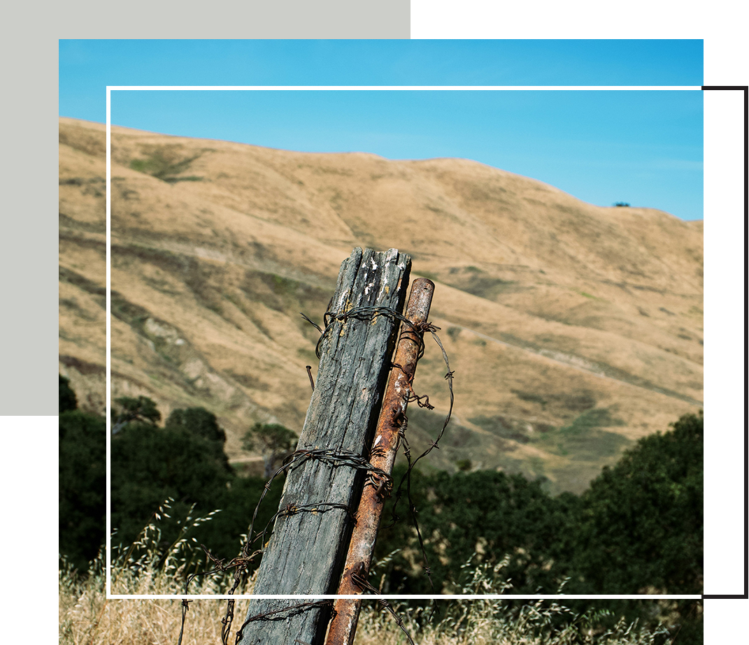 A weathered fence post wrapped in barbed wire stands before rolling, sunlit hills.