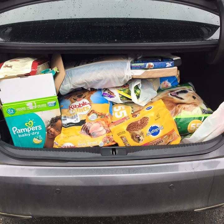 groceries