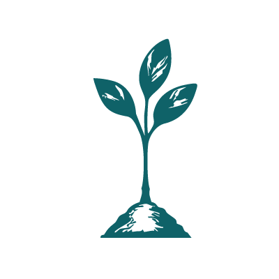 Seed sprout iconSeed sprout icon