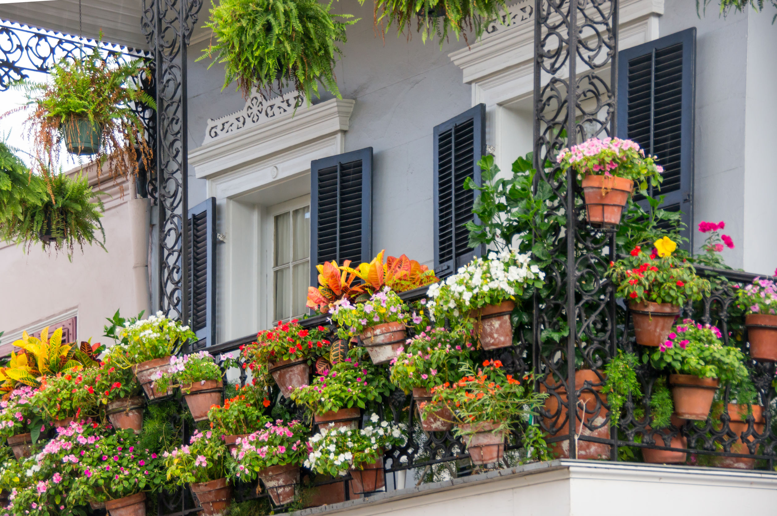 New Orleans balcony with flowers
