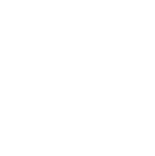 Davenport Wealth Strategies white logo
