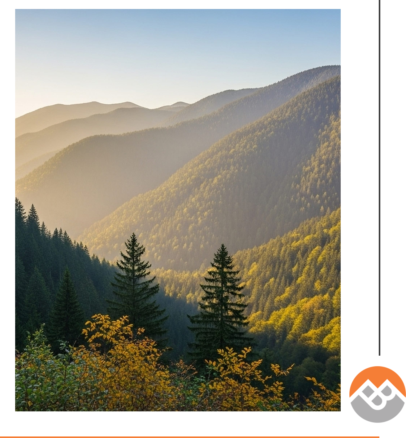 Layered mountain range with forest and morning sunlight backdrop