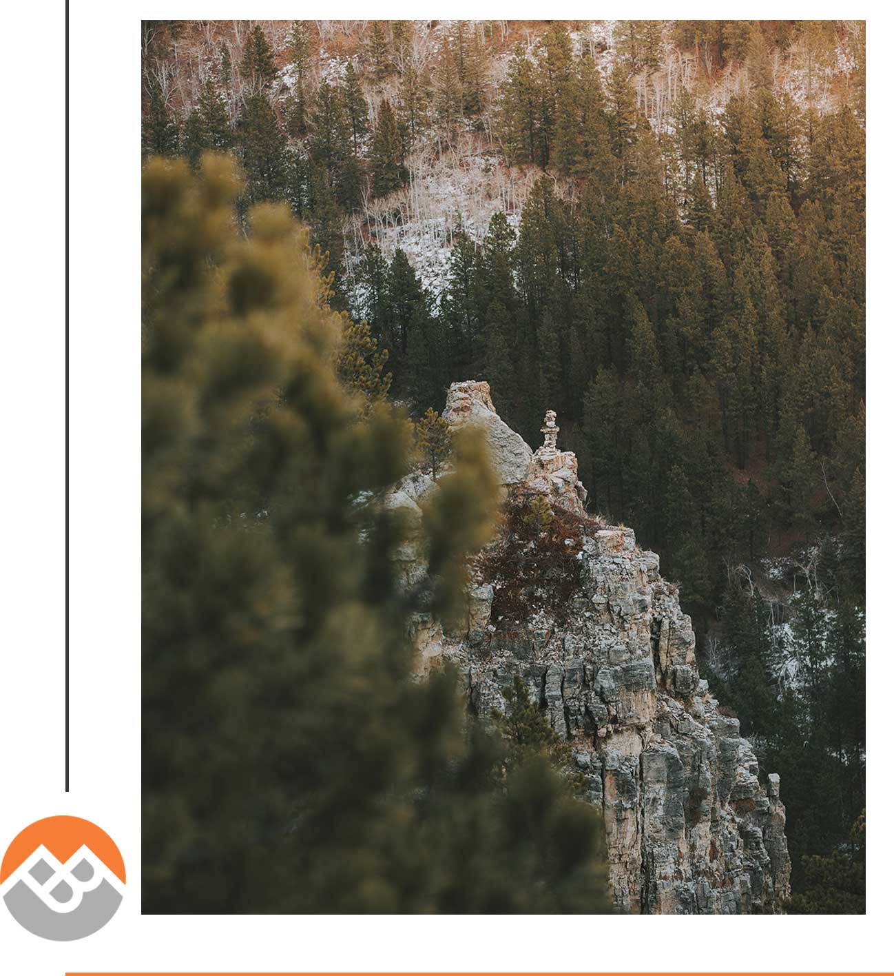 mountain side with trees