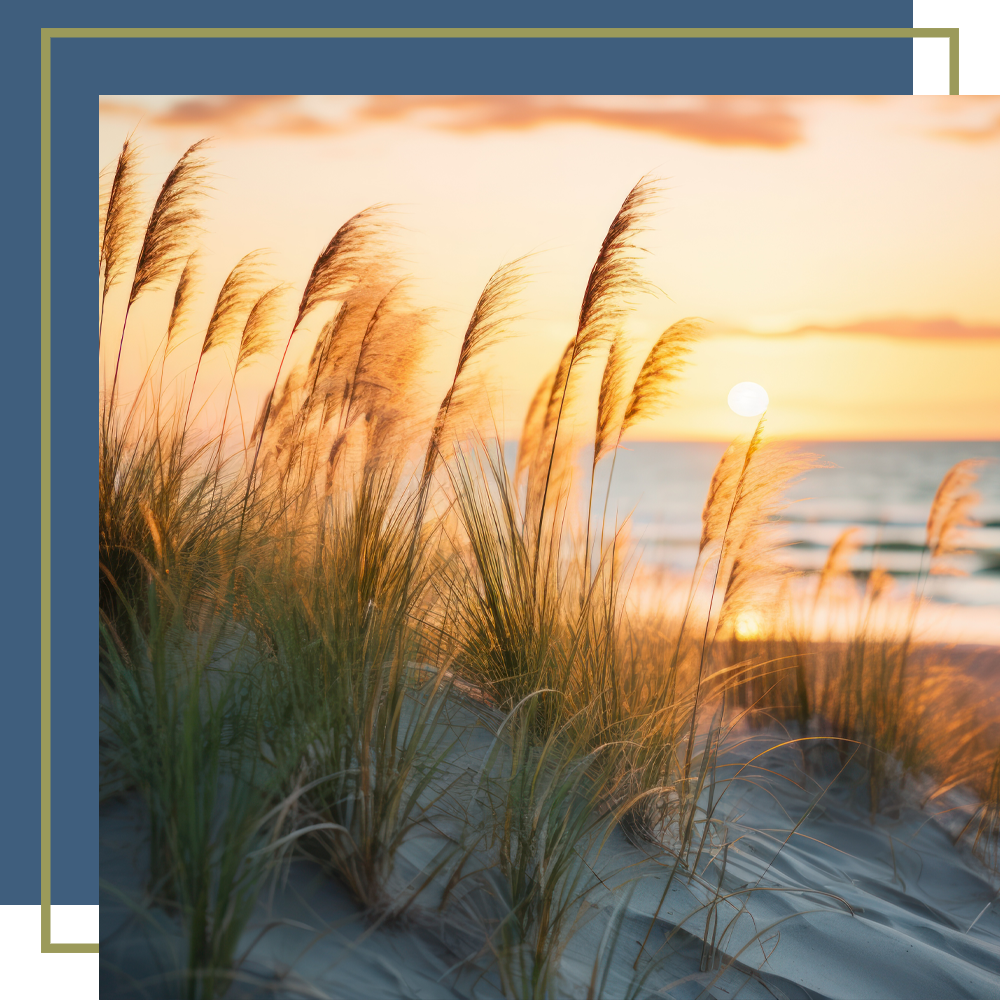 Golden grasses sway in the breeze as the sun sets over the beach, casting a warm glow on the sand and ocean.