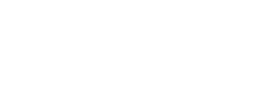 Nexus Logo white