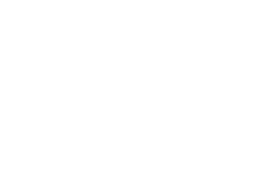 Demarie Wealth Strategies Group white logo