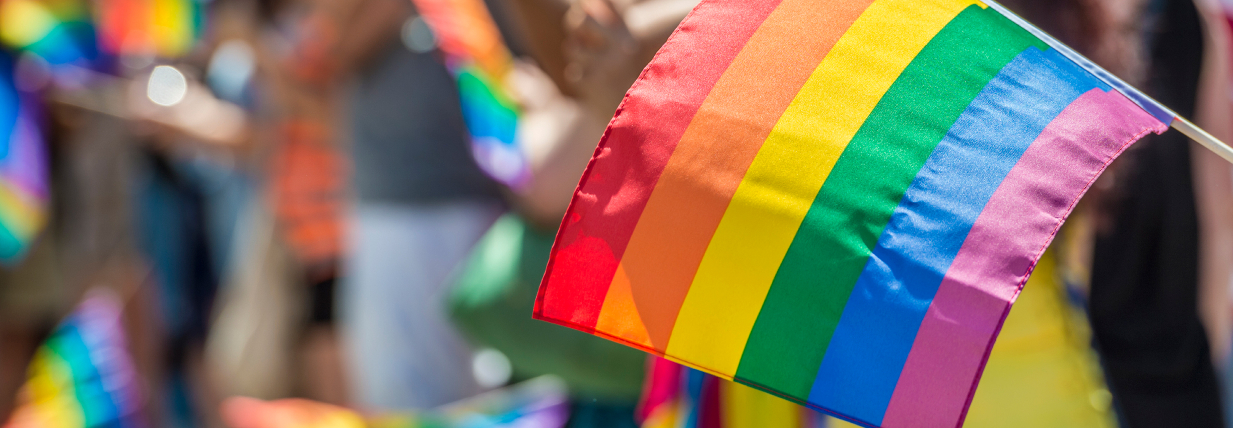 pride flag held at a parade 