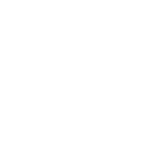 Dollar Chart Icon