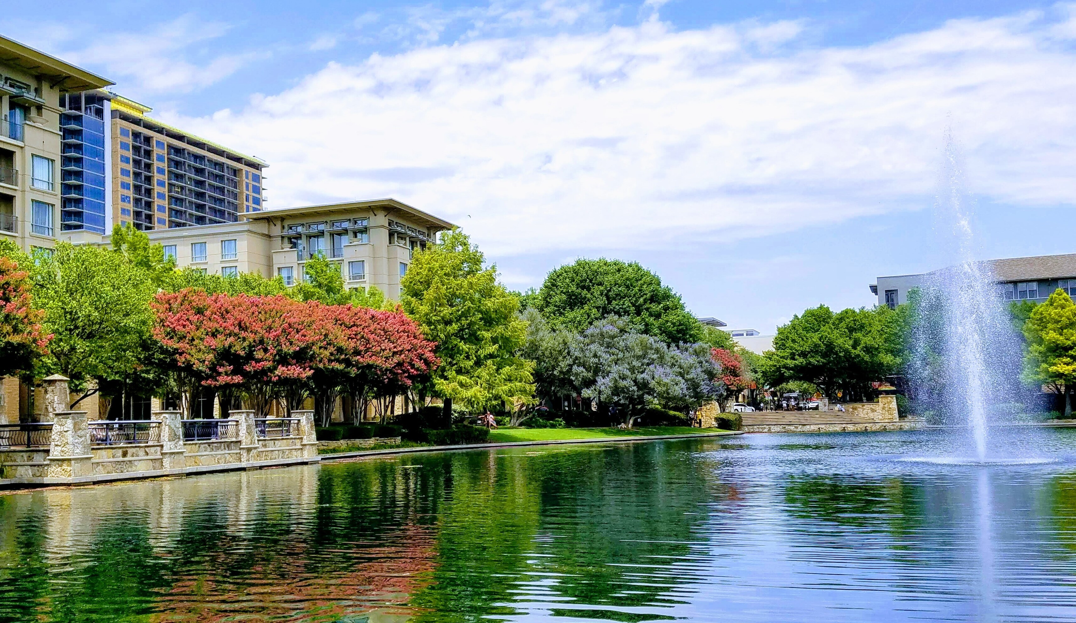 View of pond and trees in North Dallas