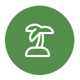 Icon of a palm tree