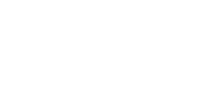 Eagle Strategies LLC logo