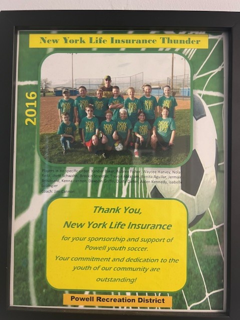 soccer2016
