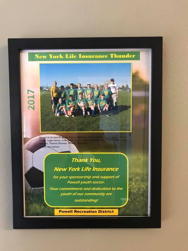 soccer2017