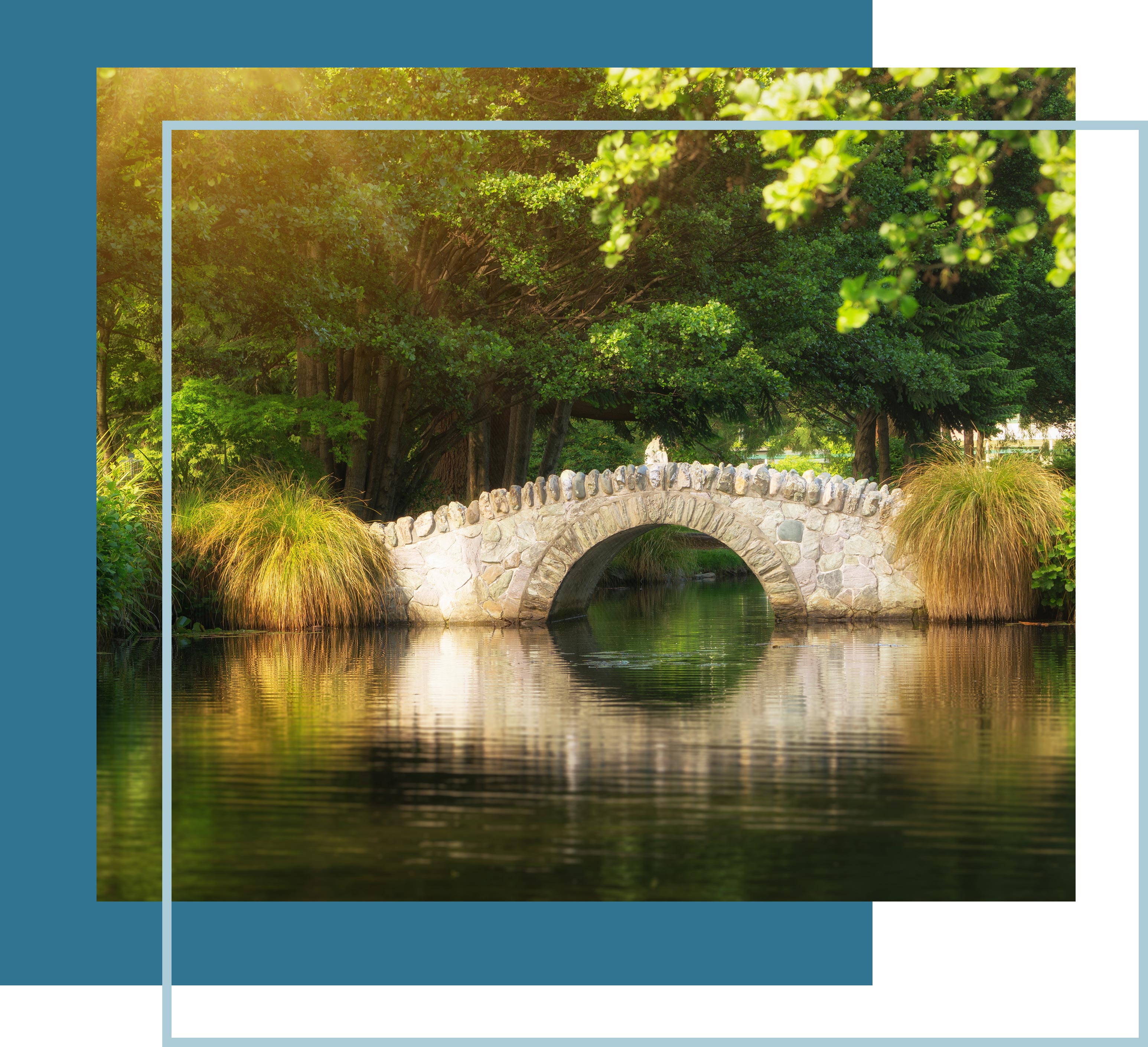 Beautiful bridge in a botanical garden under warm sunlight in summer reflecting over pond water. Shot in a garden in Queenstown, New Zealand.