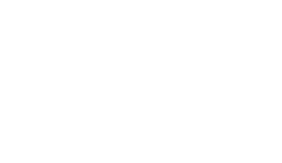 Wyatt Brothers footer logo - updated