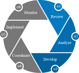 process wheel #3- Develop