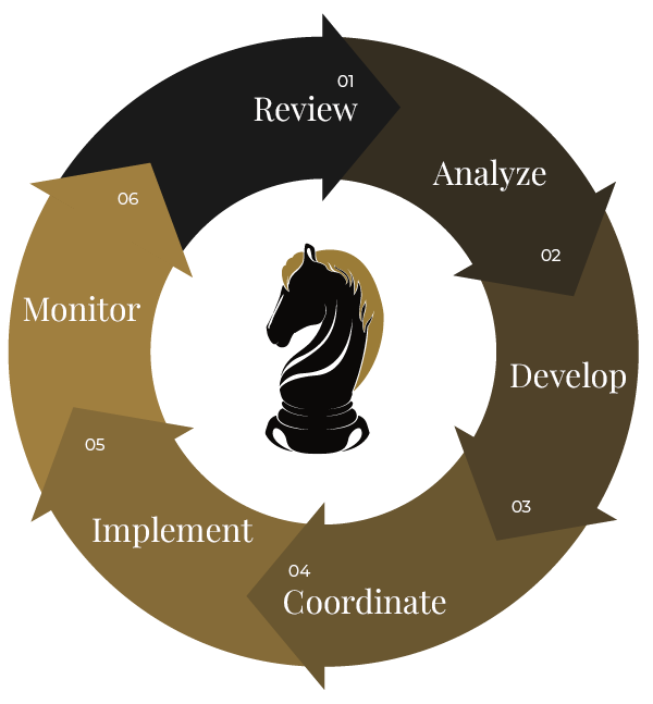 Circular six-step process diagram with a knight chess piece in the center, illustrating the cycle: Review, Analyze, Develop, Coordinate, Implement, Monitor.