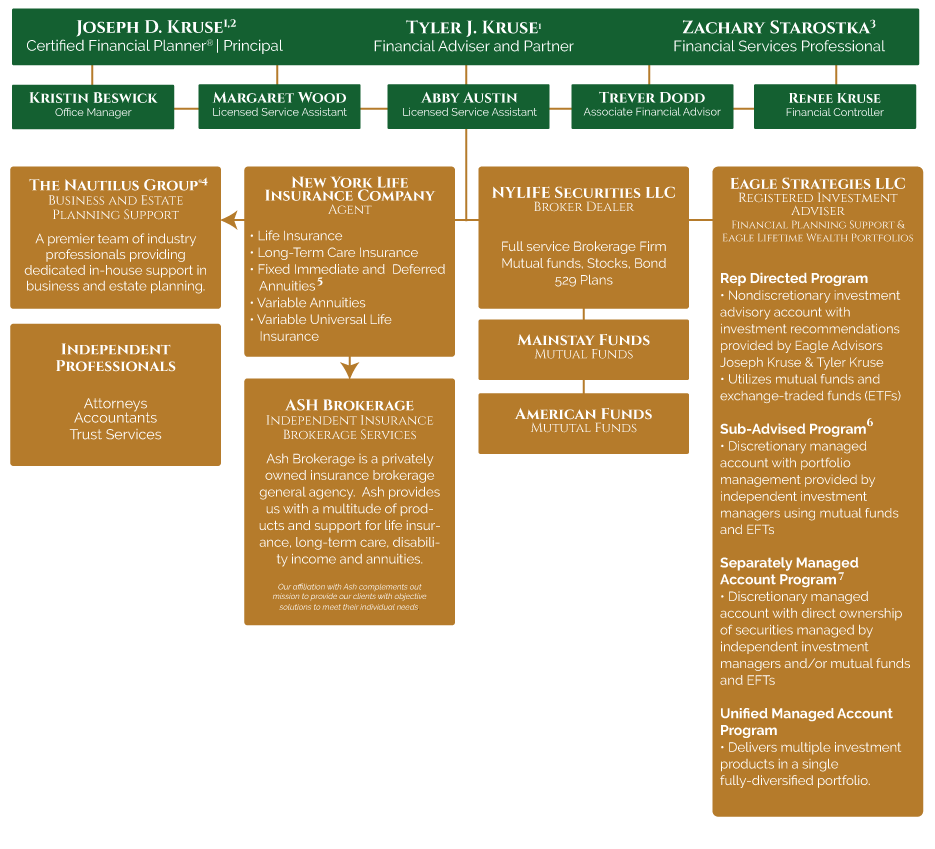 Organization Chart Graphic