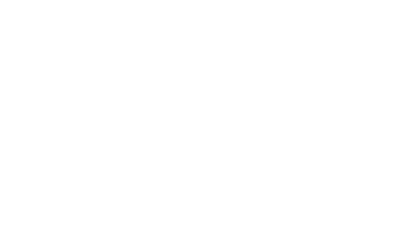 Beaini Financial Solutions Logo White
