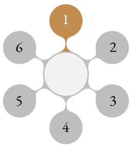 Process Wheel Graphic Step 1