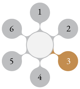 Process Wheel Graphic Step 3