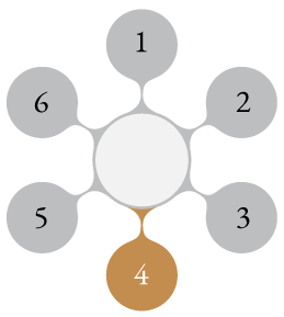 Process Wheel Graphic Step 4