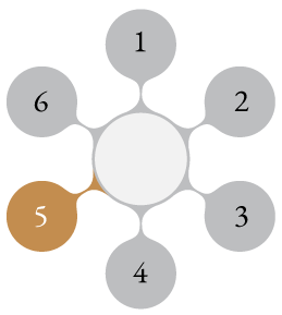 Process Wheel Graphic Step 5
