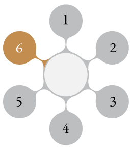 Process Wheel Graphic Step 6