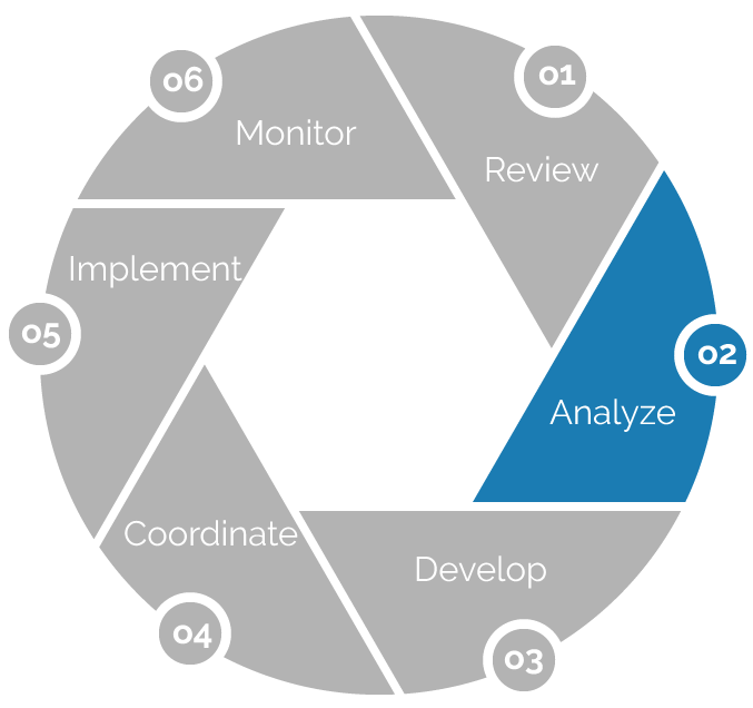 Process Wheel Graphic Step 2 Analyze