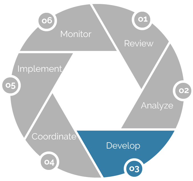 Process Wheel Graphic Step 3 Develop