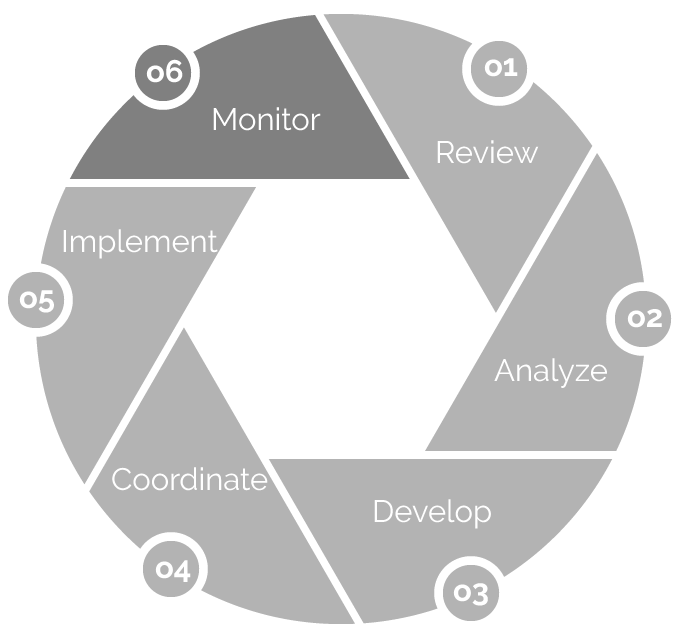 Process Wheel Graphic Step 6 Monitor
