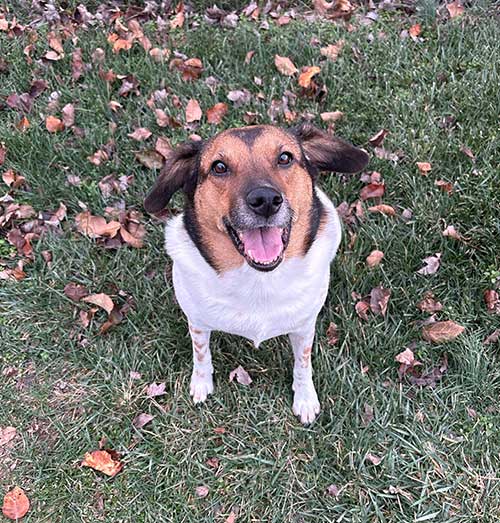 Teague personal photo 3