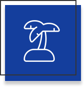 palm tree icon - dark