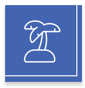 palm tree icon