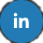 linkedin icon 2