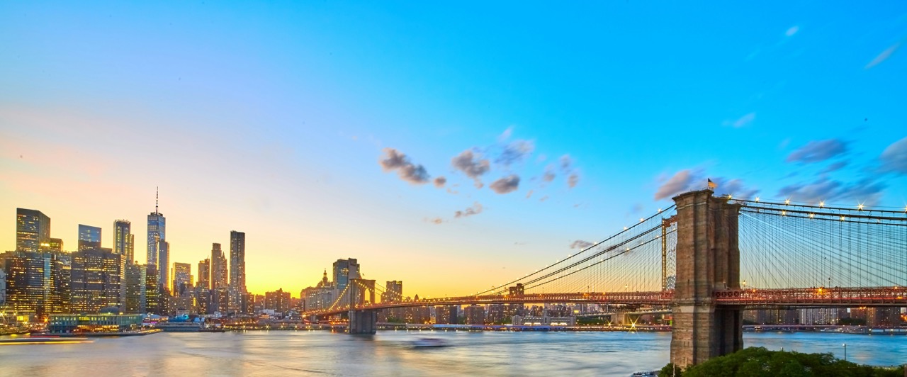city skyline and bridge