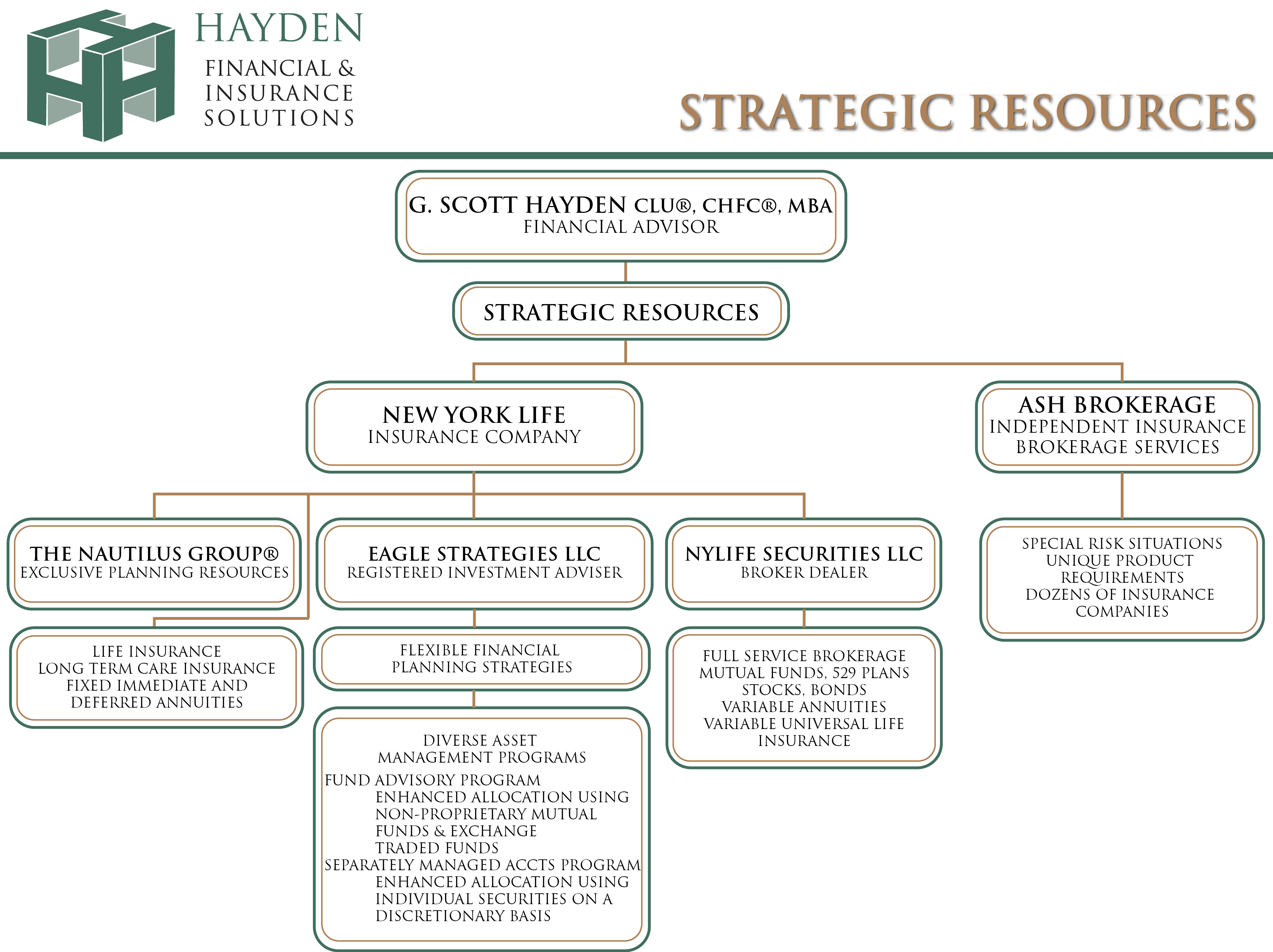 org chart graphic