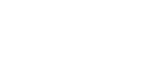 Savagen Strategy logo