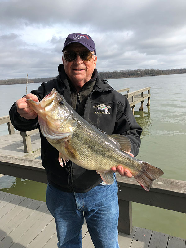 Steve Maus Holding Recently Caught Largemouth Bass Image