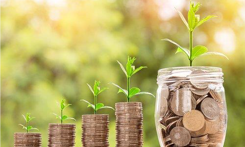 coins stacked like upward bar chart each stack has progressively larger green plant growing from top. conceptual image for growth